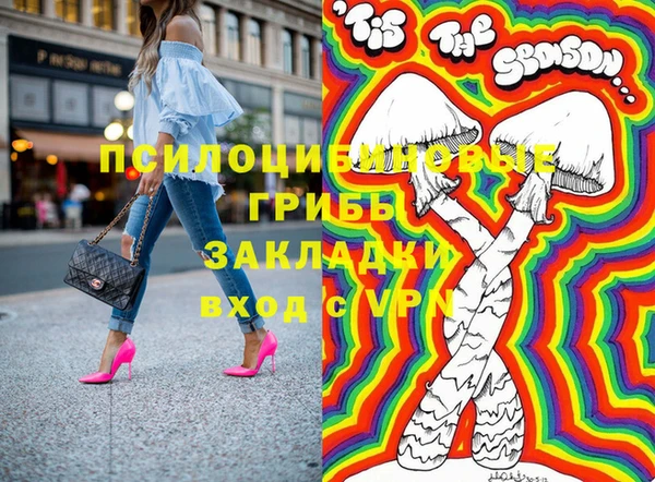 дмт Каменка